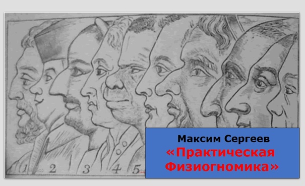 Семинар Сергеева М. Ю. «Физиогномика»